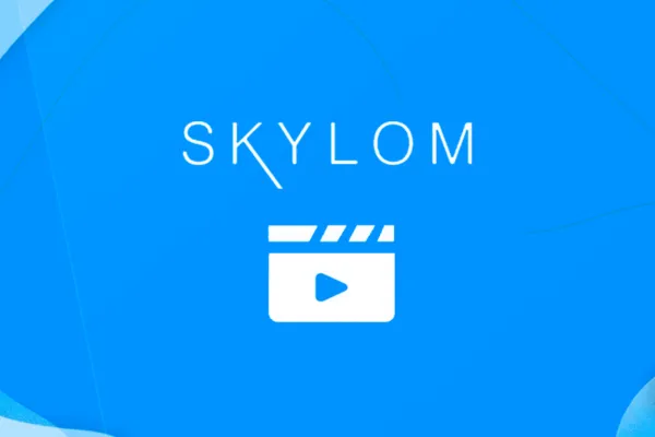 Skylom-Paga-mesmo-600x400-post (7)_11zon